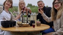 Hvar Island Cooking Class: A Farm-to-Table Experience