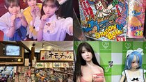 Private Akihabara Retro Tokyo Anime Game Maid Cafe Tour w/ pickup