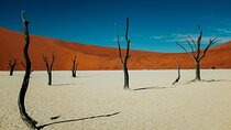3 Day Sossusvlei (Accommodated) Self-Drive Tour 