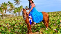 Horse Riding on Macao Beach