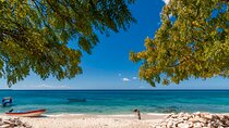 Bahía de las águilas glamping experience from Santo Domingo
