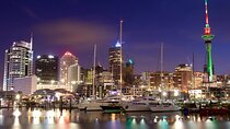 1 Night Auckland - Departure Option with Auckland Sightseeing 