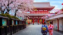 Tokyo City Tour by Private Car & English guide