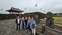 2Days Limousine Taxi Tour with Experienced driver in jeju island