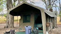 2-Day Wilderness Adventure: Overnight Camping in Chobe Park