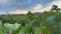 2-Day Wine Tasting Tour along the Thracian Wine Route