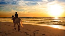 Sunset Beach Horseback Ride Phuket
