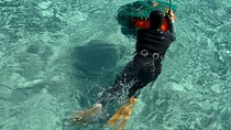  Small Group Tour in East Jeju Healing Island w/Woman Divers Show
