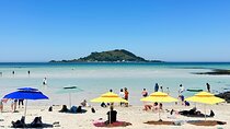Small Group Tour in West Jeju Healing Island w/Caves & Dolphins