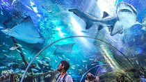 Malaysia: Aquaria KLCC Admission E-Ticket