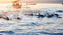 Munduk Waterfall Dolphin and Snorkeling Tour