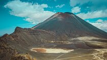  Lord of the Rings : 2-Day Private Tour from Auckland