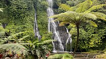 Handara gate, Ulundanu Bratan Temple & Banyumala Waterfalls 