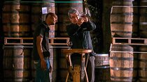 Half-Day Tour: Ron Barceló Factory Experience from Santo Domingo