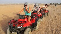 3-Hour Quad: Explore a Bedouin Village and Camel Ride in Hurghada