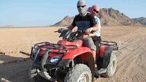 Sharm Safari Adventure: Quad, Camel Ride, Dinner and Show