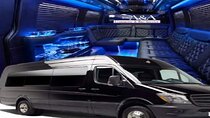 4, 5 or 6 hr Hollywood Private Tour in 12 Pass Mercedes Party Bus