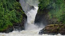 Private 3 Days Wildlife Safari at Uganda