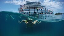 Full Day in Búzios with Catamaran Tour and Lunch