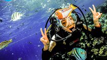 Intro and Professional Scuba Diving Cruise with Lunch in Hurghada
