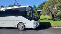 Cairns to Port Douglas Private Transfer