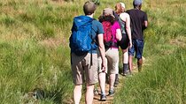 Cradle of Humankind Tour