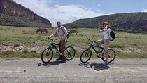 2-Days Private Safari in Naivasha