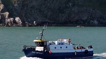 Howth Cliff Cruises