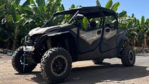 Monster Buggy Teide Tour 4Seaters