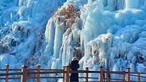 Eobi Ice Valley, Nami Island and Petite France tour in Seoul