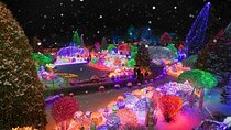 Eobi Ice Valley & Nami Island & Alpaca World & Morning Calm