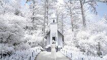 Eobi Ice Valley, Nami Island, Morning Calm and Rail Bike Seoul