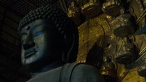 NARA and KYOTO 1 Day Bus Tour