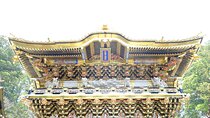 From Tokyo: Nikko Toshogu Shrine and Kegon Waterfall Tour