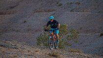 Agafay Desert Duo: E-Bike & Camel Adventure