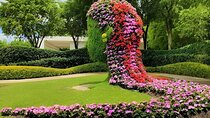 Explore Mexican Gardens and Tepoztlan Town from Mexico City 