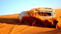 Morning desert safari private 