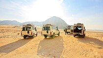 Sunrise Bedouin Village Tour, Camel Ride & Transfer from Hurghada