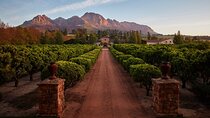 Table Mountain and Waterford Estate Wine Tasting Tour