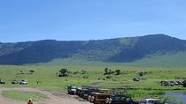 3 Day Private Serengeti National Park Tour from Zanzibar by Plane