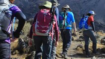 6 Days Marangu Route Climbing Kilimanjaro