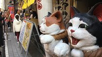 Private Home Visit Style Tour in Yanaka with Local Experience