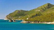 Private Car Tour to Arrábida and Olive