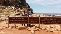 Full Private Tour of Cape Peninsula and Boulders Beach Penguins