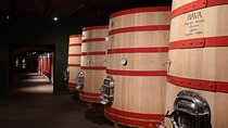 Tour of Monferrato among wines, Vermouth and local cheeses