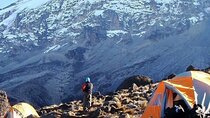 8 Days Lemosho Route Climbing Mount Kilimanjaro