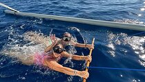 Dolphin Watching Tour, Swimming with Dolphins and Snorkeling 