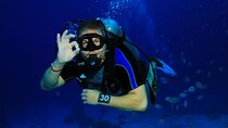 Scuba Diving for Beginners with Lunch & Transfer– Sharm El Sheikh