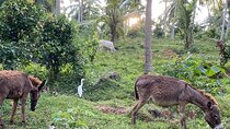 Sirin Park Eco Tour in Sri Lanka