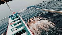 Lovina Dolphin watching and swimming with Dolphin